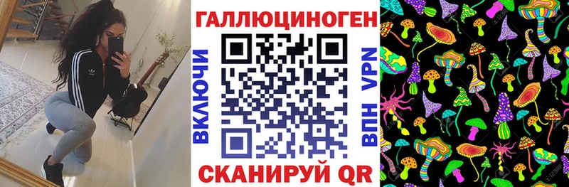Псилоцибиновые грибы Psilocybine cubensis Сорск